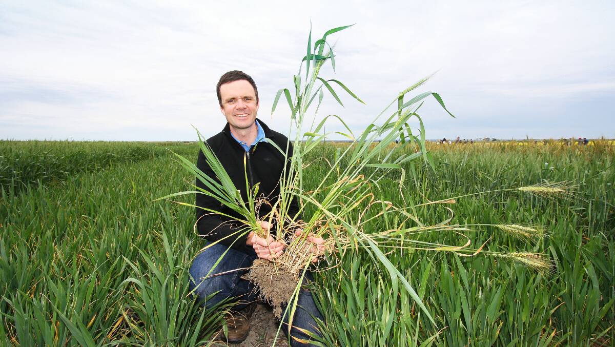 James Hunt, LaTrobe University, says glyphosate has been important in the development of the no-till farming systems which have slowed soil erosion in cropping regions over the past 30 years.