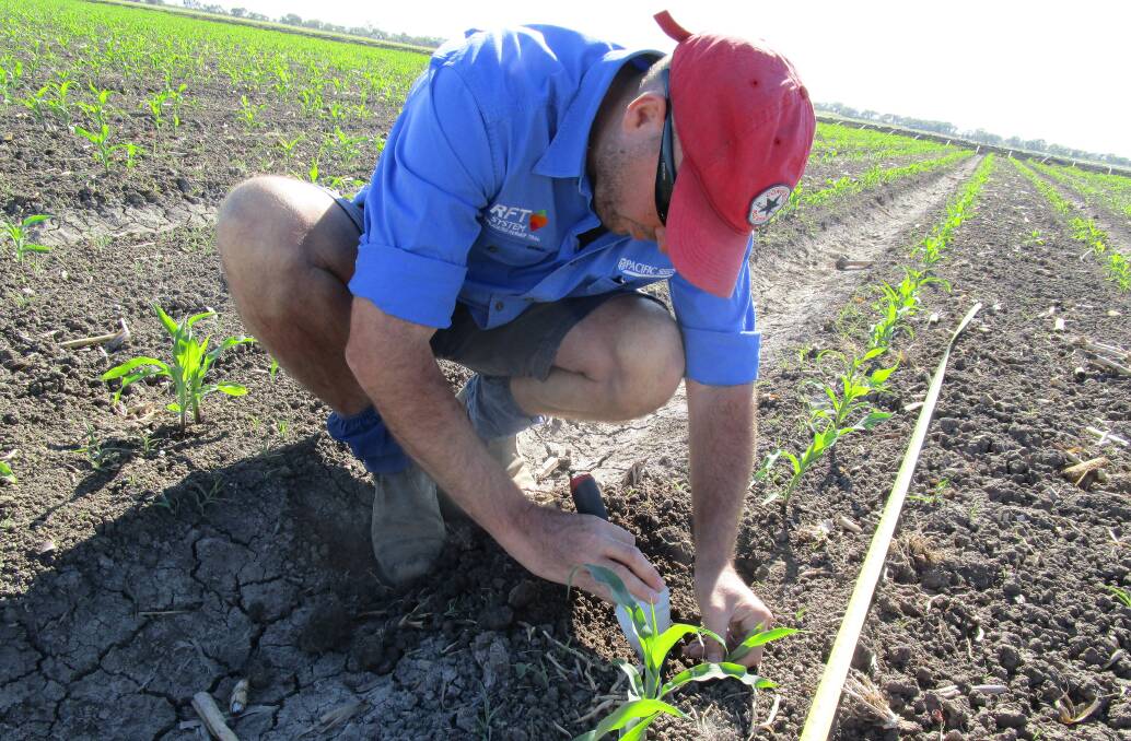 Sorghum researcher Trevor Philips is conducting a range of trials on the Liverpool Plains and in southern Queensland with interesting results in regards to improving overall yields.