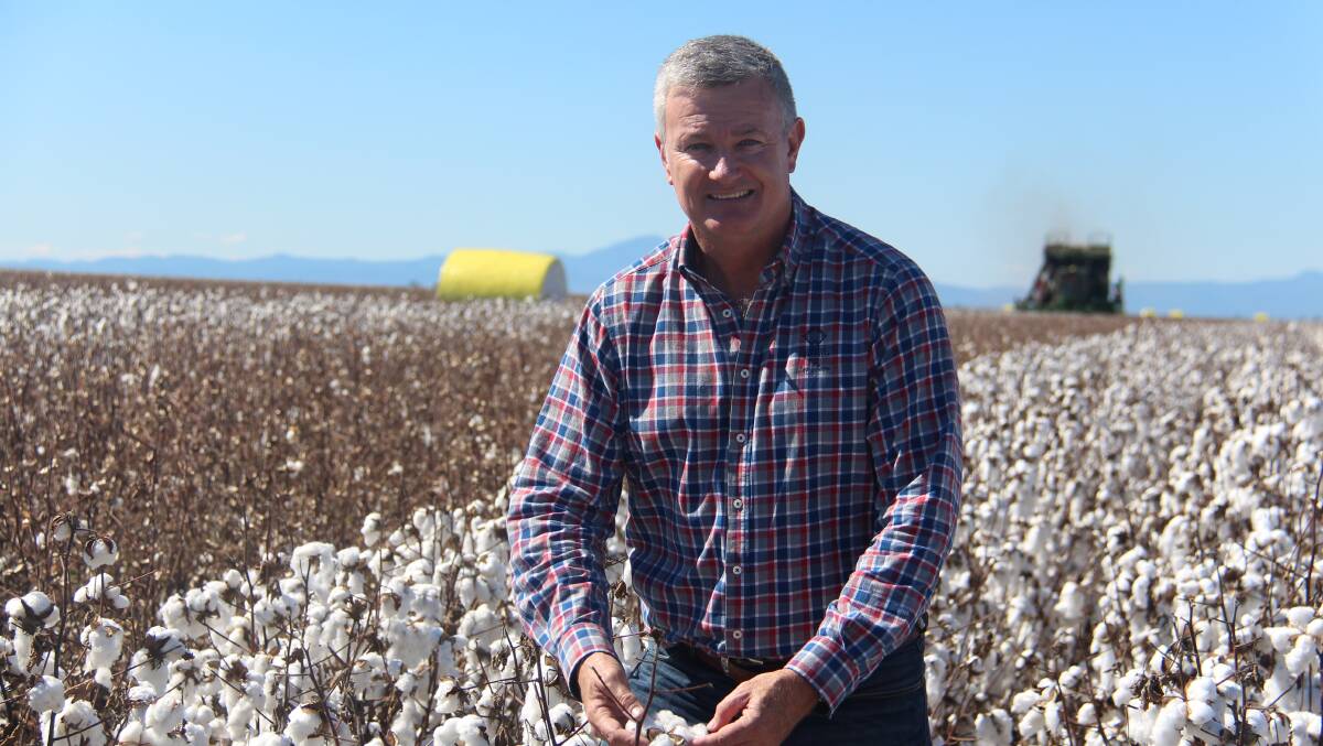 Cotton Australia chief executive Adam Kay says this year's crop is likely to be the smallest in a decade, with some valleys having no cotton plantings at all at this stage.