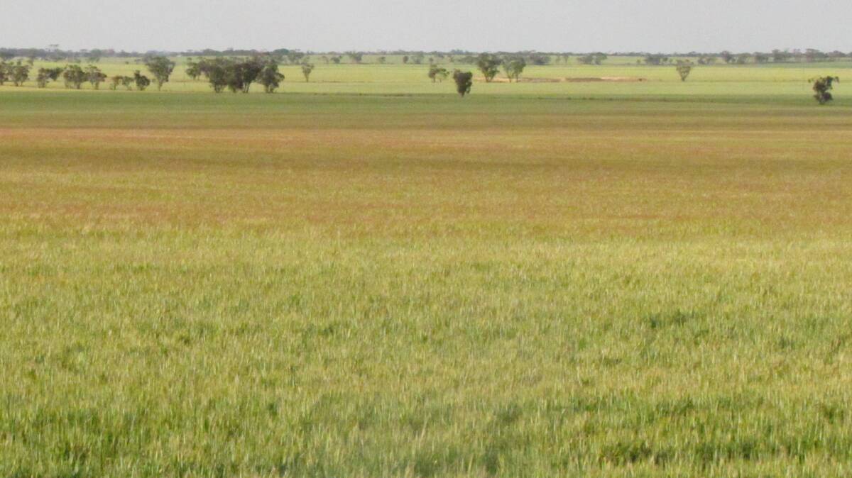 The issue of consecutive runs of droughts has an impact on the multi peril crop insurance sector in South Africa similar to the problems in Australia.