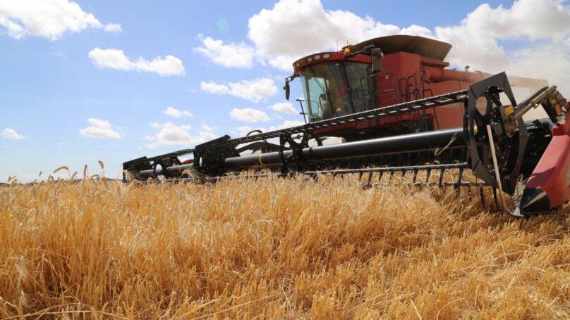The Queensland cropping sector is hoping it will be safe to issue permits to Victorian contractors from regions of that state without COVID-19 cases to allow the crop to be harvested in a timely manner.