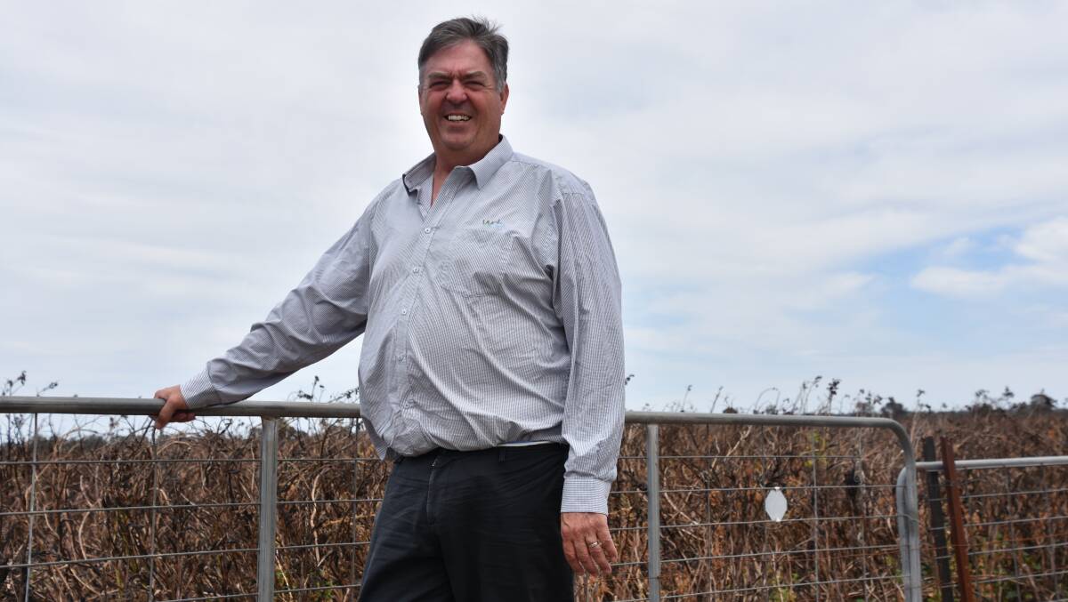 Wimmera Development Association chief executive Chris Sounness at the site of proposed wind-farm at Nurrabiel, south-west of Horsham. Photo: Gregor Heard.