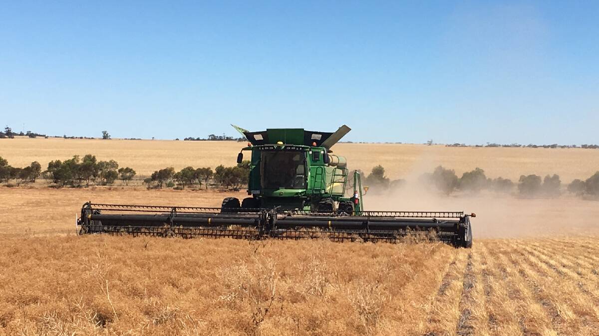 Aussie lentil producers are delighted with news of a reduction in Indian tariffs.