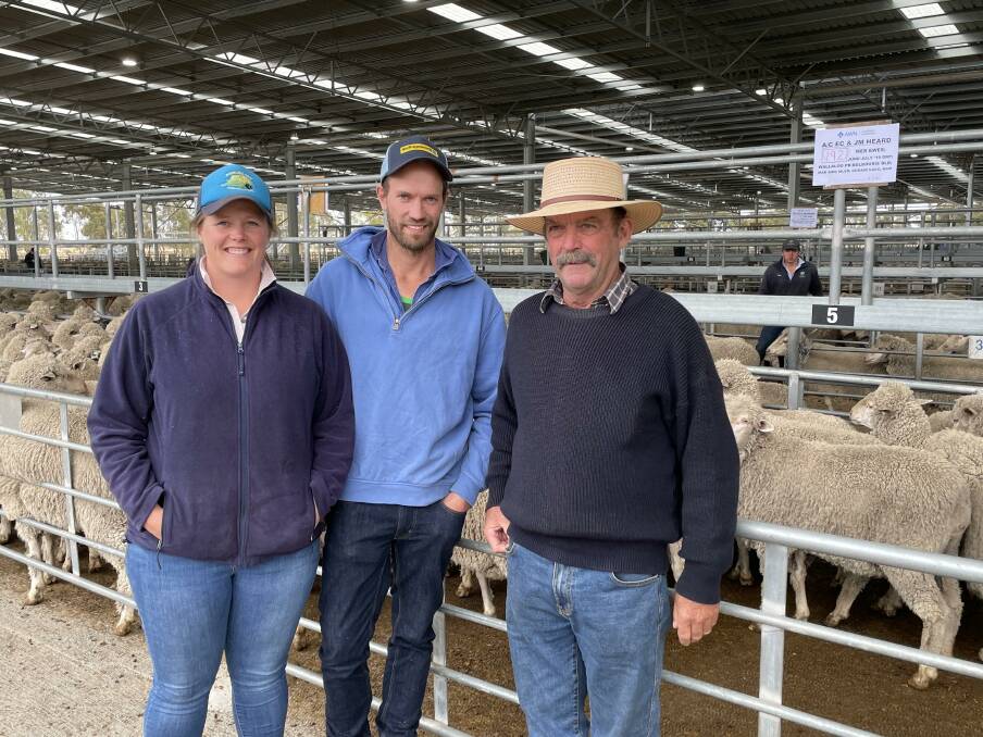 INTEREST: Jose, Will and John Staude, Pigeon Ponds, south of Harrow, were buyers at Friday's Horsham sale, taking home this pen of 192 2.5yo Merino ewes for $290.