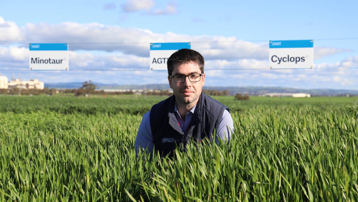 VENTURE: AGT barley breeder Paul Telfer is excited about the three new varieties his business is set to release.