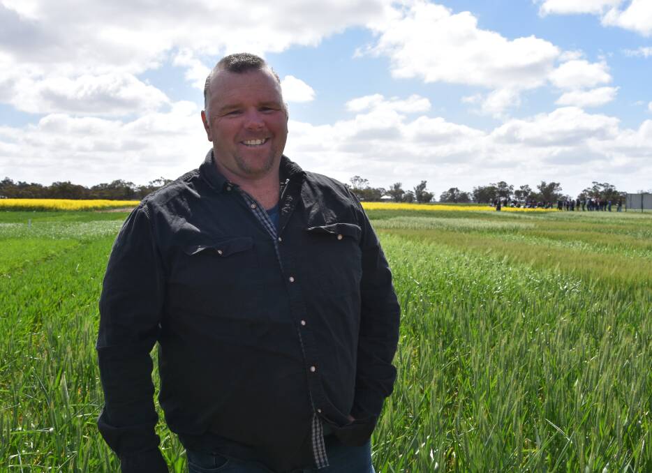 Northern Victorian farmer Russell Hocking is going to cut crops for hay this year after well below average growing season rainfall. 
