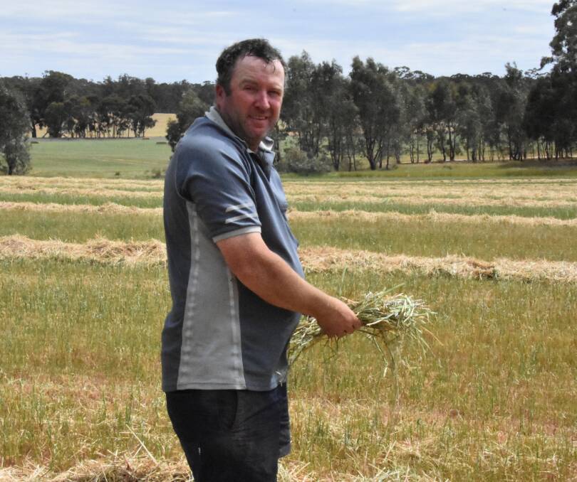 Dan Smith, Bealiba, says hay oats have been a valuable part of his cropping program this year, with the hay crop lessening the reliance on spring rain.