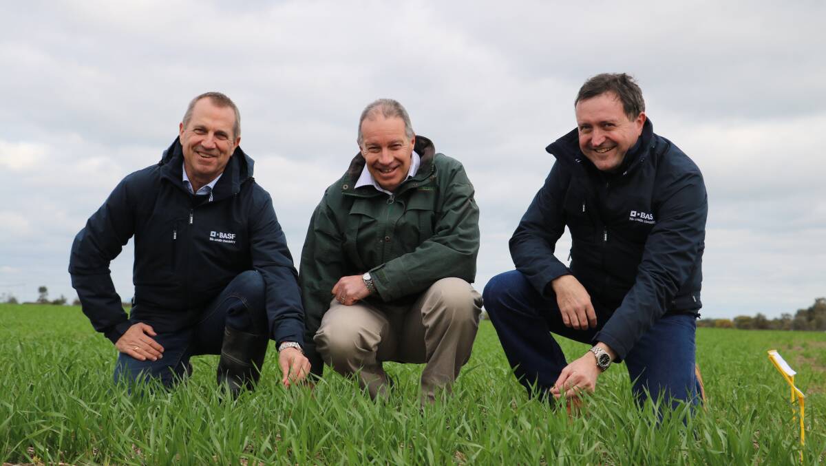 Gavin Jackson, head of agricultural solutions ANZ BASF, Simon Crane, Seednet national manager and Rob Hall head of seeds and traits ANZ BASF in a crop last year.