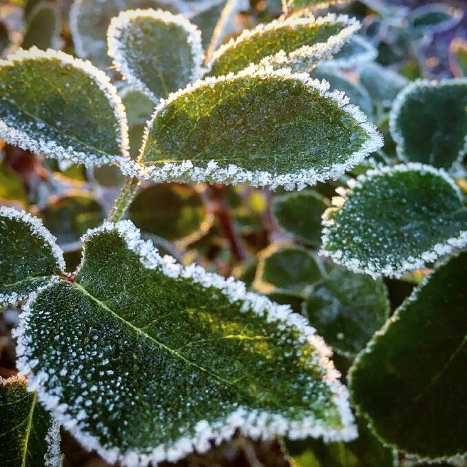 The mercury plummeted below zero in the Wimmera on Saturday and Sunday nights.