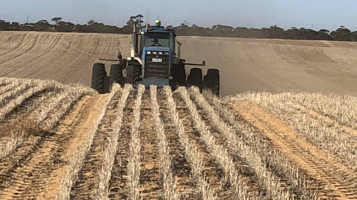 Crops have been planted dry in Western Australia, however growers are now screaming for a break to the season. 