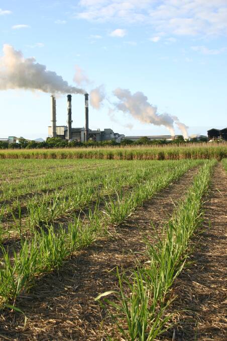 Queensland is set for a slightly larger sugar crop this year.
