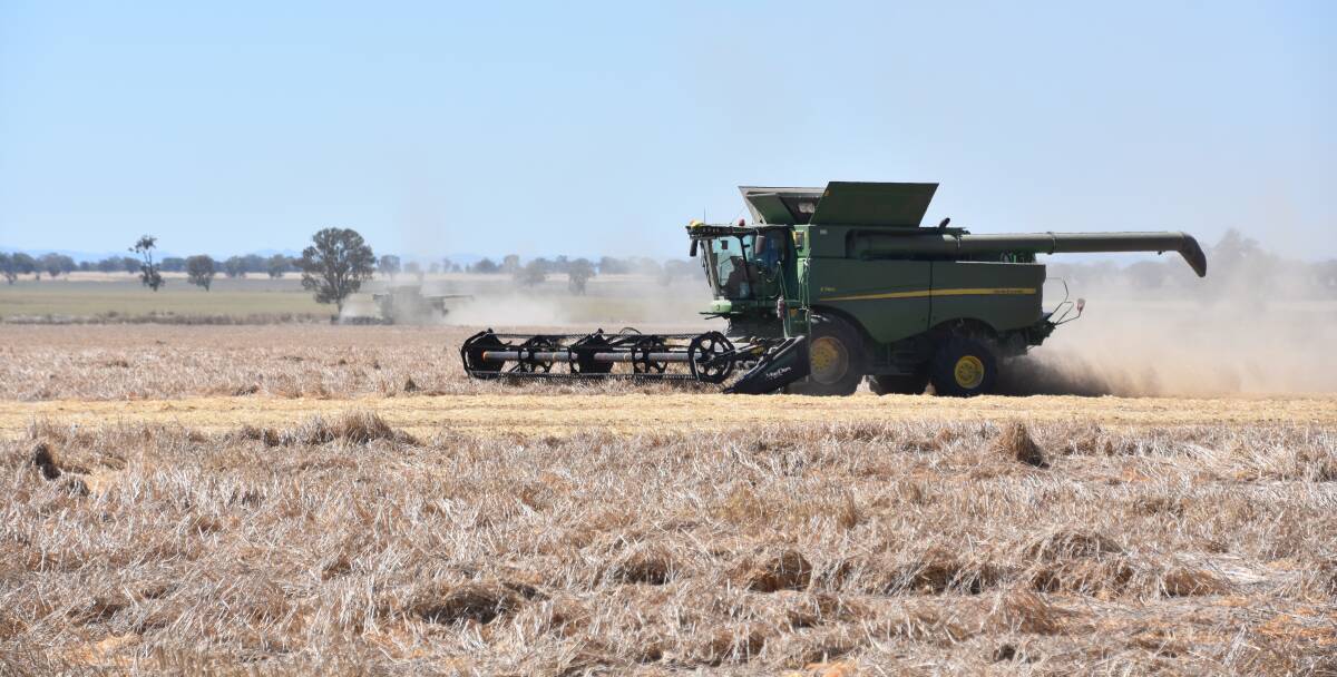 Harvesters endured difficult conditions in lodged paddocks but yields remained good. Photo by Gregor Heard.