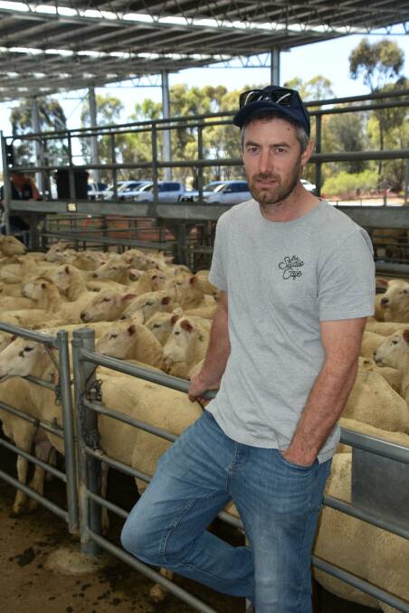 Gerard Matthews, Brimgower Farms, Brimpaen, sold several pens of crossbred ewes at last week's Horsham store sale to a top of $222.