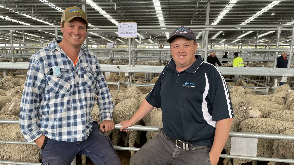 GOING, GONE: Noradjuha farmer John Heard and his agent, AWN Horsham's Benn Molineaux, after Mr Heard sold 1586 ewes at the Horsham sale on Friday.