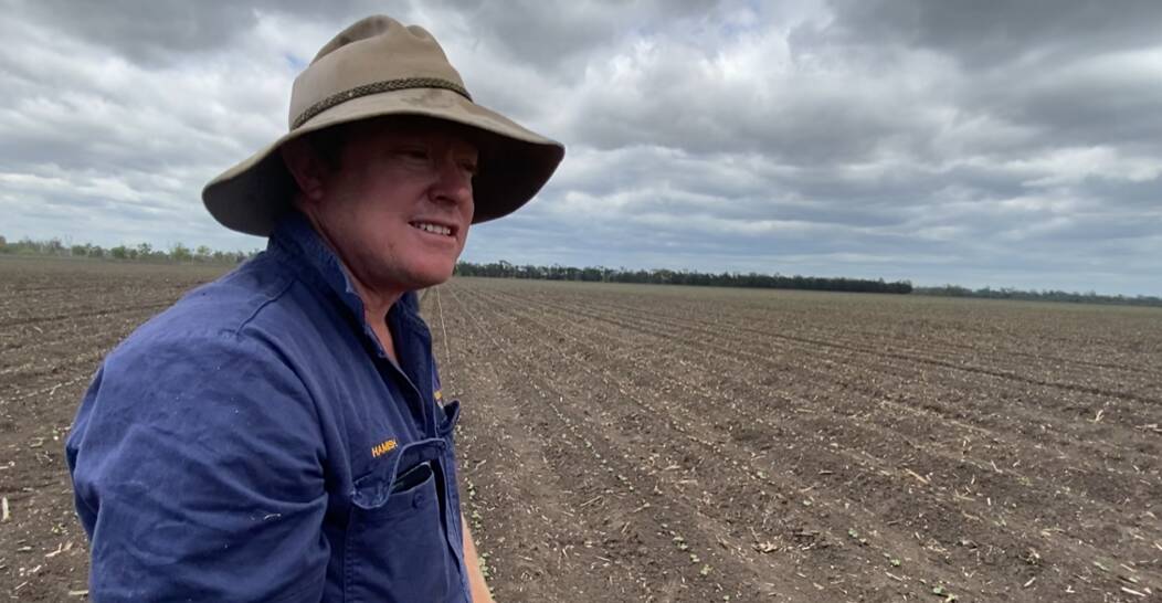 Queensland cotton grower Hamish Bligh has boosted water use efficiency in recent years. Photo by Cotton Australia.