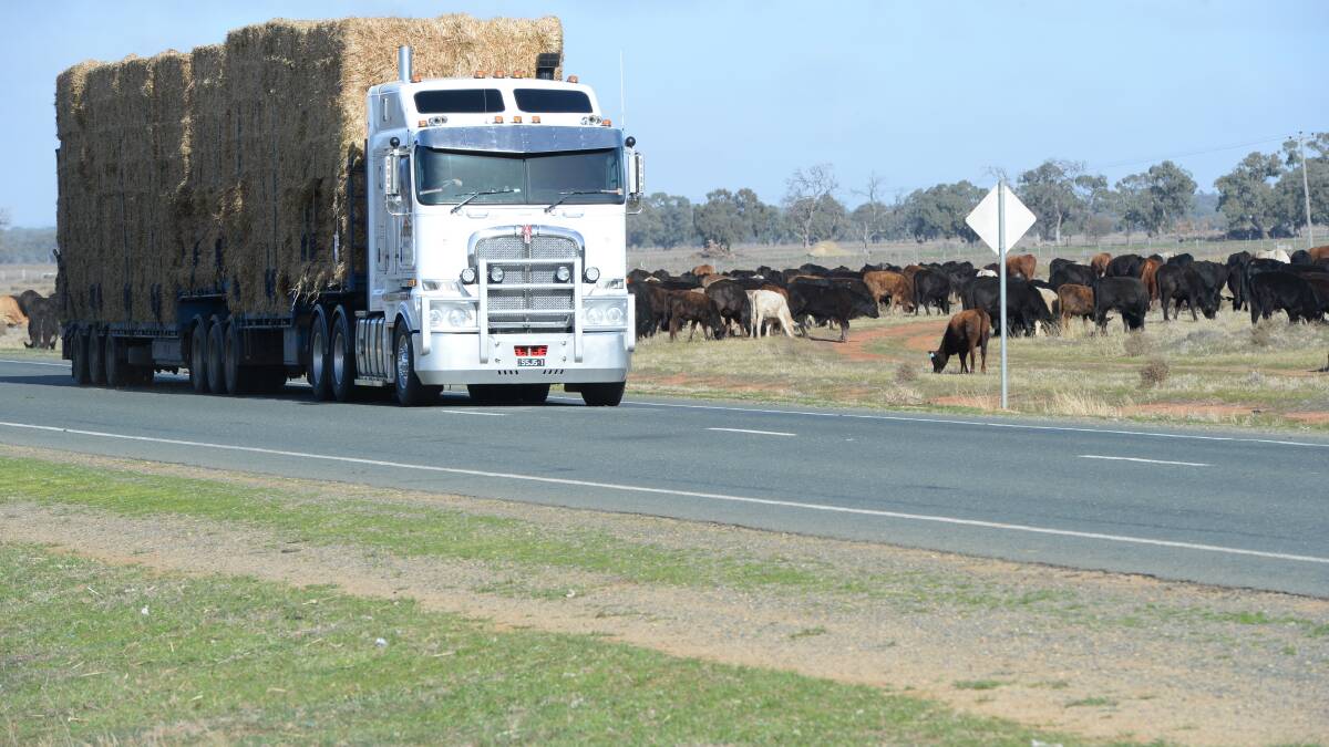 Hay trucks will again be a common sight on the highways across eastern Australia this year.