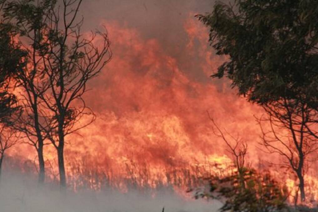 HELPING HAND: Landcare will coordinate a host of bushfire recovery projects.