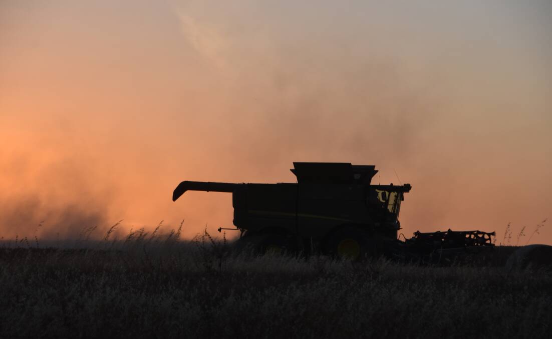 The total annual value of the grains industry has increased seven fold since the late eighties. Photo by Gregor Heard.