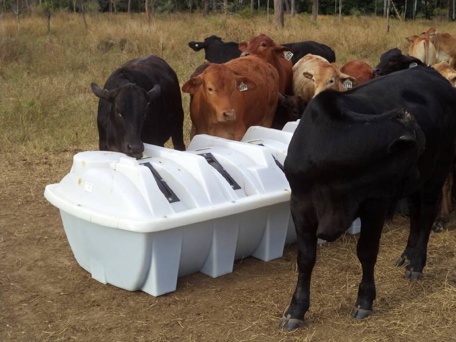 Safe and effective: The Gough Plastics MaxiBeast maximises the amount of head per trough as there are eight wheels per trough and cattle must turn the wheels to lick the supplement, regulating intake and preventing waste