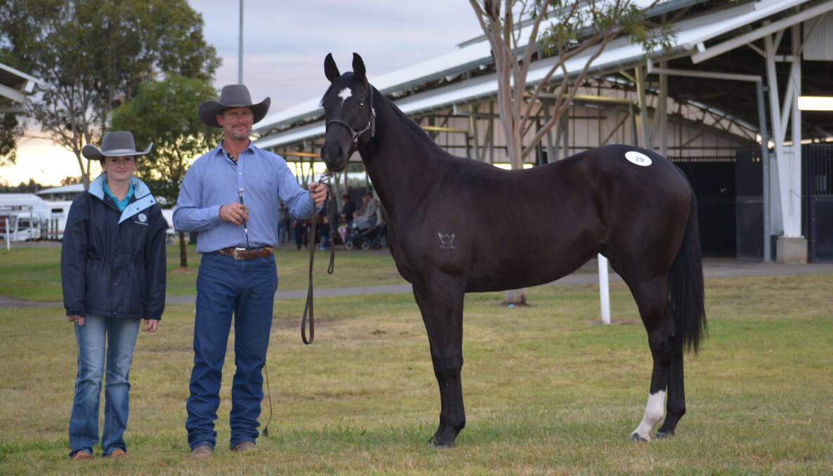 The $15,000 top-priced horse, Royalle Heart Strings, with buyer Tahnee Sullivan, Forster, and vendor, Paul Dehnert, Southbrook near Toowoomba, Queensland.
