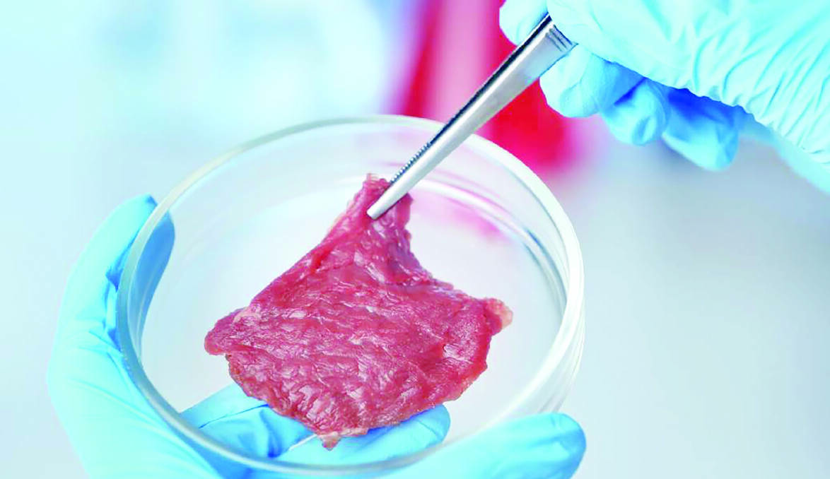 Food Standards Australia and New Zealand (FSANZ) describes cell-based meat as being derived from animal cells using a combination of biotechnology, tissue engineering, molecular biology and synthetic processes.