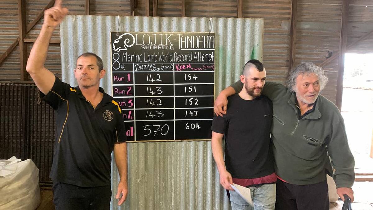 Brother and previous record holder Dwayne Black (left) signals number one as Koen Black (centre), holding his world eight-hour Merino lamb shearing record certificate is congratulated by his father, Peter, in front of the tally board. Photos by Lojik Shearing Training.