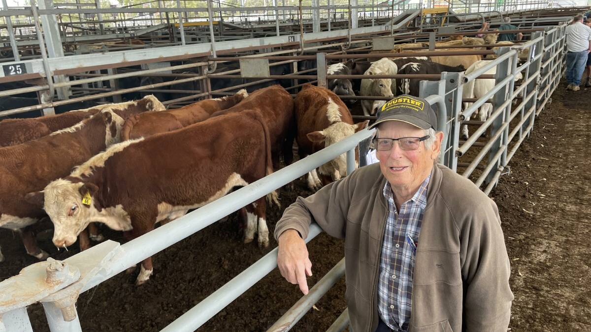 Rick Laycock, Ruffy, sold two pens of Hereford steers which averaged $2130, and 359kg, and returned a draft av of 600c/kg. 