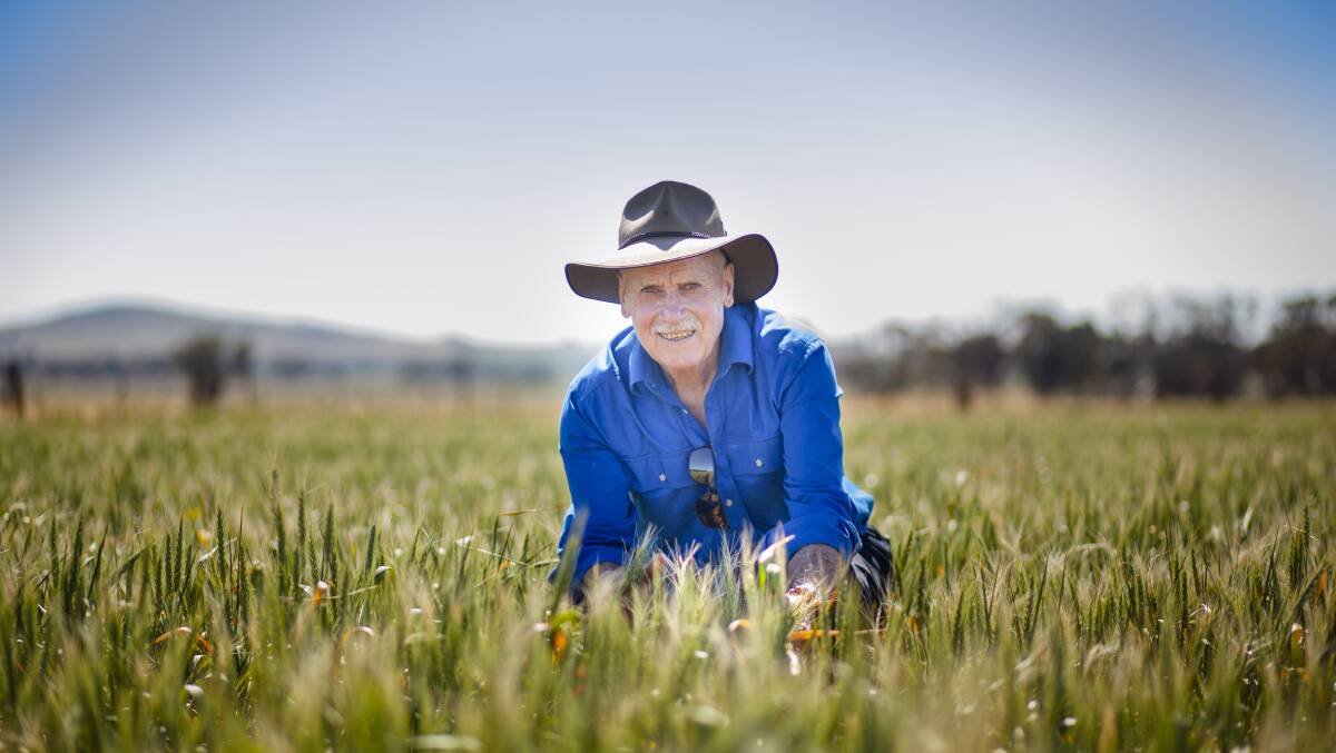 HONOURED: Former director-general of the international wheat research institute CIMMYT's Profesor Tim Reeves has been recognised in the Queen's birthday honours list. Photos supplied.