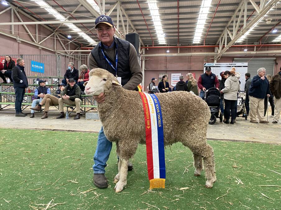 Leader: Grand Champion Strong Wool Merino was crowned to a North Ashrose ewe, exhibtied by Tom Ashby. 