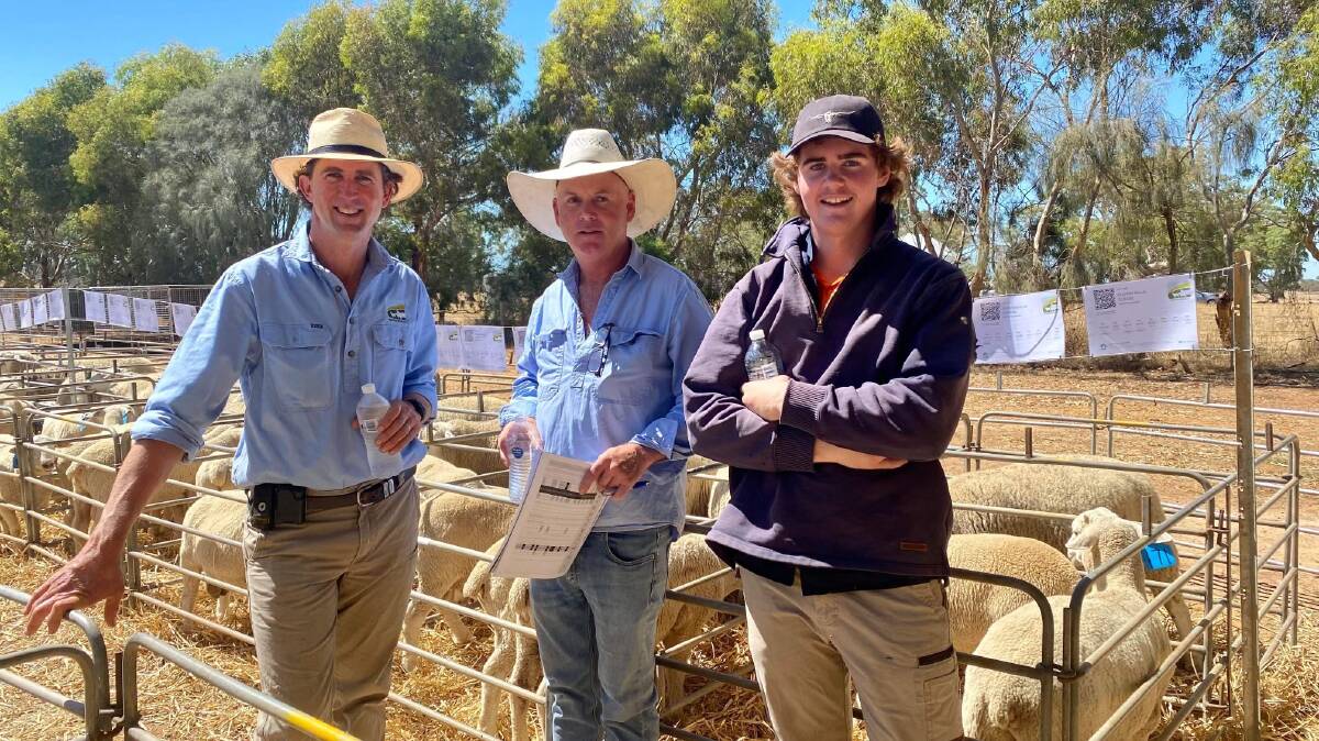 CLIENTS: Cloven Hills co-principal Chris Dorahy with David and Angus Troup, who pruchased Lot 64 at $1800, to join with Cloven Hills ewe lambs. 