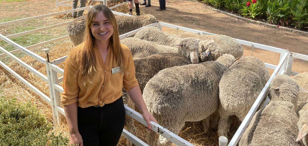 Resilient: Terrick West Poll Merino stud's Claire and Ross (not pictured) McGauchie, Prairie, were part of the recent Loddon Valley Merino Field Day where optimism within the industry was positive.
