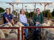 Fox and Lillie's Kyle Smitten with Brendan and Susan Finnigan, Kia Ora Merino, Winslow, who donated a bale of wool to raise funds for Ukraine's humanitarian crisis.Photo by Chris Doheny