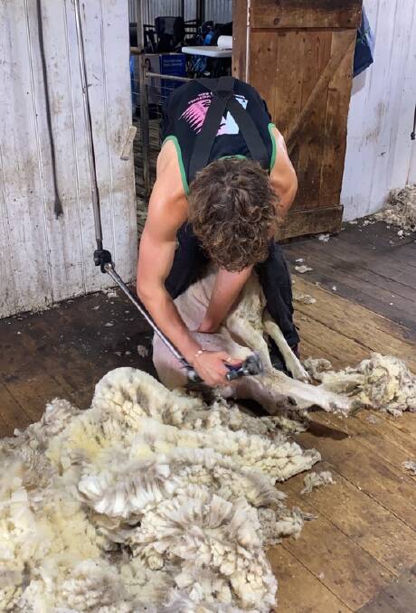 SUPPORT CREW: Former concreter turned shearer, Max Reynolds, 19, is shearing 80 head a day.