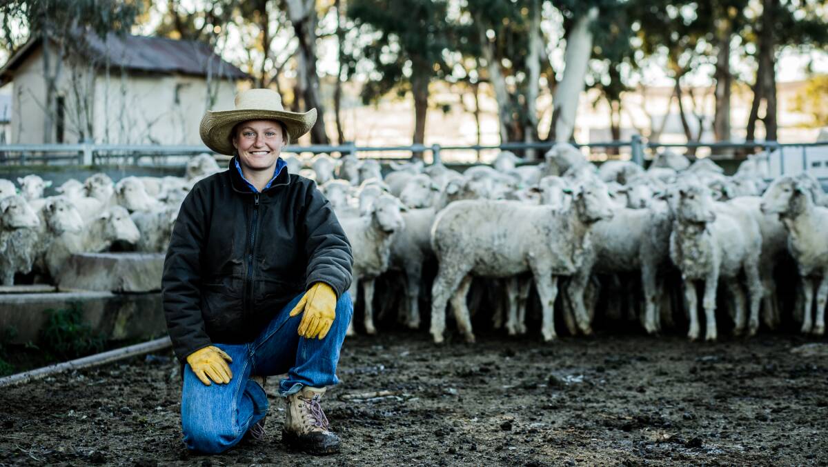 HANDS ON: Georgia White at Talbragar, Coolah, NSW, with her family's Cassilis Park-blood Merino ewes. 