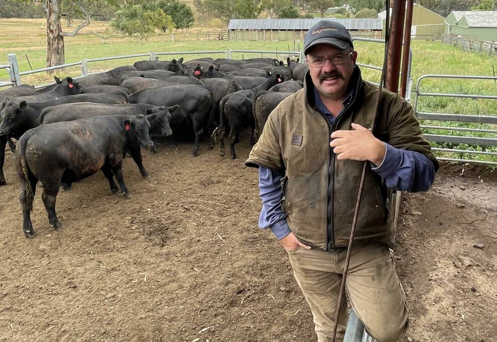 Top drop: Bungle Boori manager Clint Storer, Tarcombe, sold 72 Angus steers to $2680 or 576c/kg.