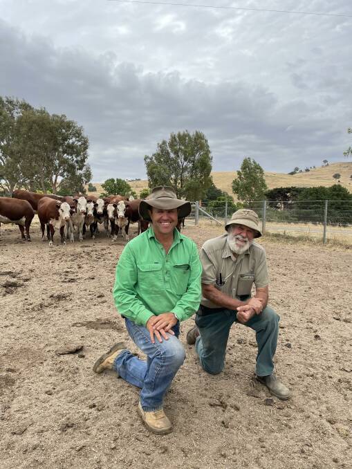 TARCOMBE: Tim and Rob Hayes' focus on breeding Hereford bulls with leading calving ease, carcase and fertility traits has been a global drawcard for the Ruffy-based stud. 