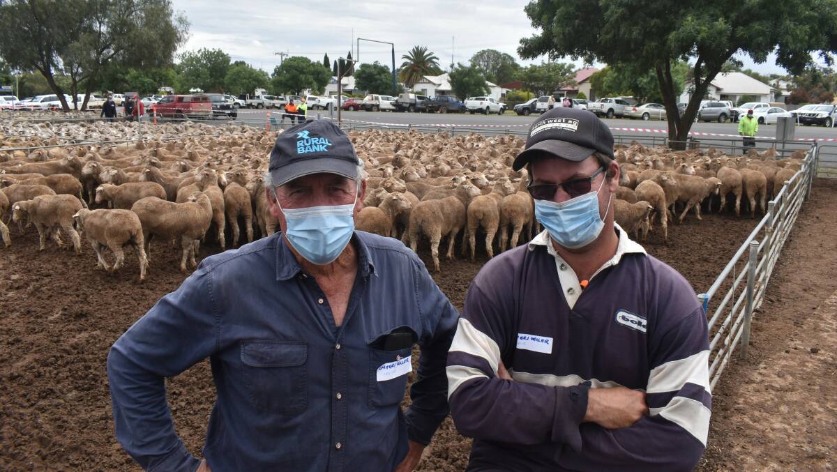 Last year, Greg and Marcus McGurk sold a pen of 416 Merino ewes, April/May 2019 drop, to $262, while this year, their top pen hit $395. 