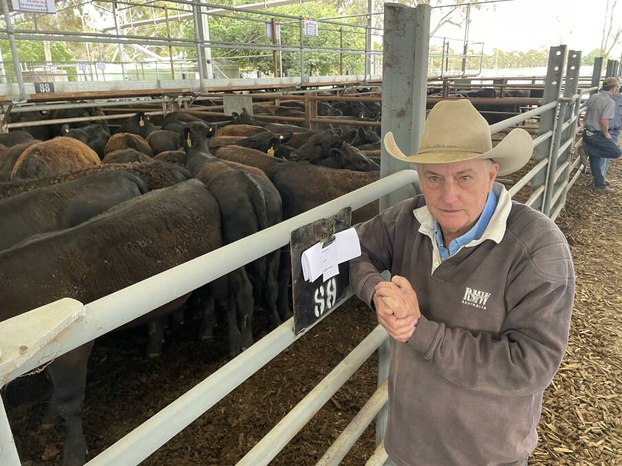 Restocking: Albury, NSW, commission buyer Duncan Brown has fielded calls from northern restockers who will need stock once floodwaters recede.