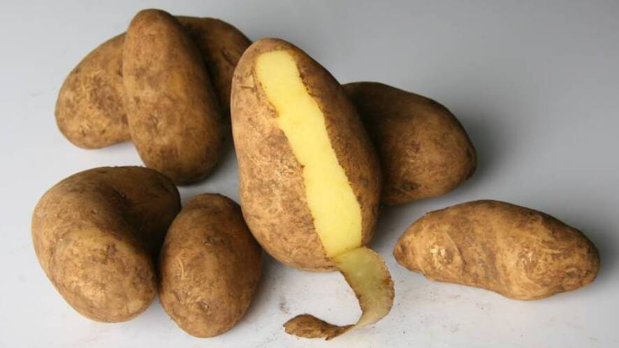 Daly Potato Company bought out