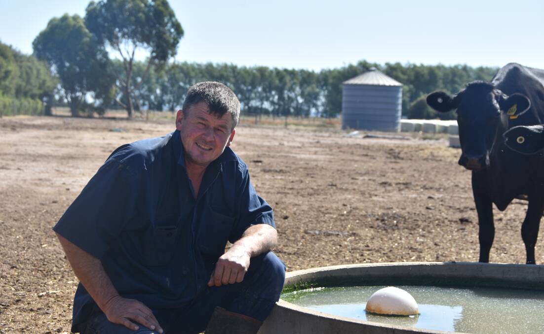 SHORT TERM PAIN: Echuca dairy farmer Steve Hawken said low numbers, which caussed Greenham to close its cow line, would work out for the best, in the end as farmers rebuilt herds. 
