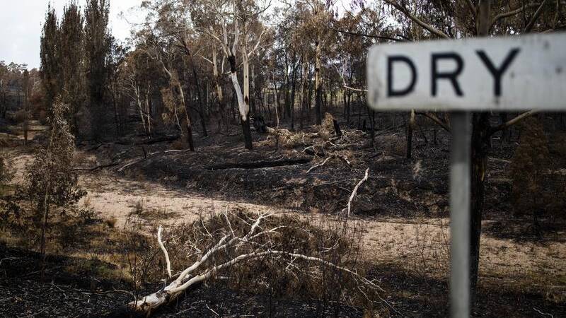 Forecasters say dry and hot conditions are coming. Picture by Sean Davey/AAP PHOTOS 