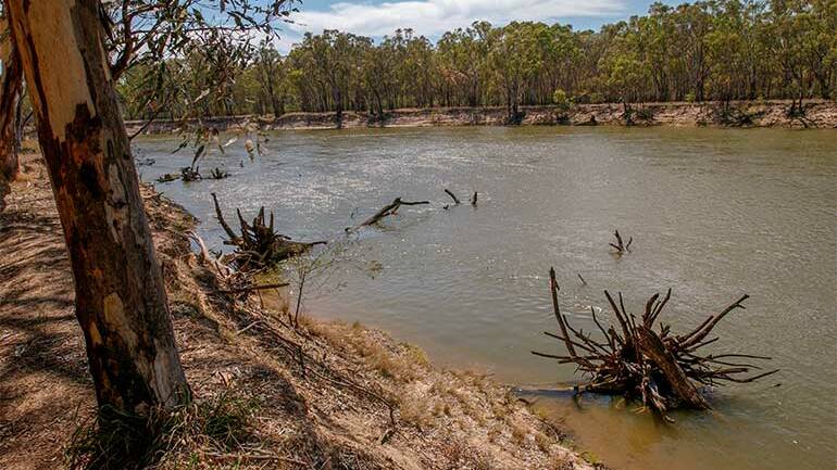 CONSTRAINTS FRAMEWORK: Damage on the Murray River - the NSW Irrigators's Council argues there are many actions that can take place, while constraints issues are resolved.