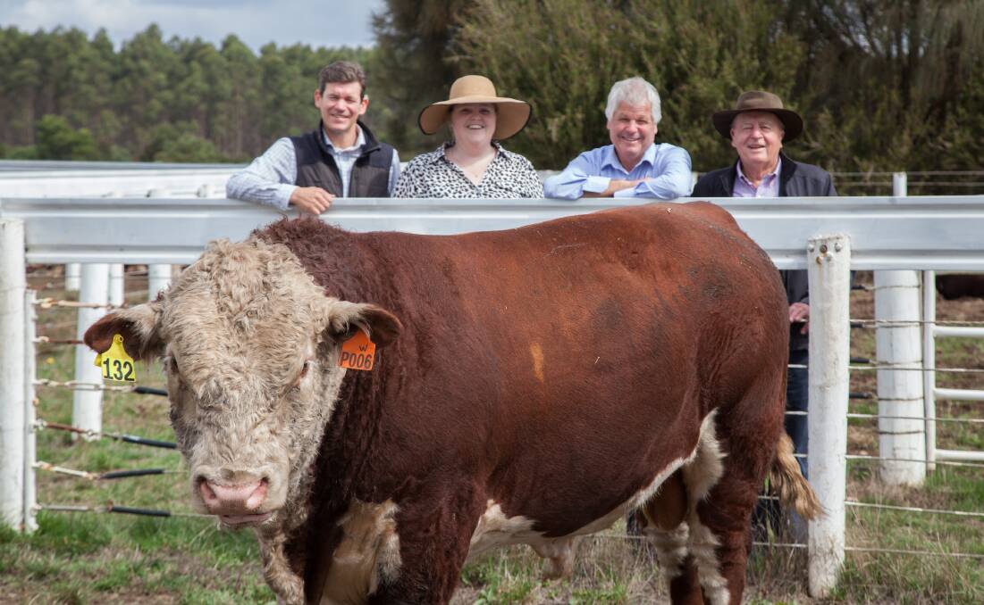 TOP BULL: Meg and Andrew Bell, Millicent SA, with the top priced bull and Banemore's Jonathan and David Jenkin. Picture by Jill Frawley 