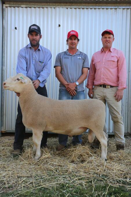 WA-BOUND: Shane Baker, Booloola, with the purchaser of the top-priced ram Nick Cheetham and John Sutherland, Elders.