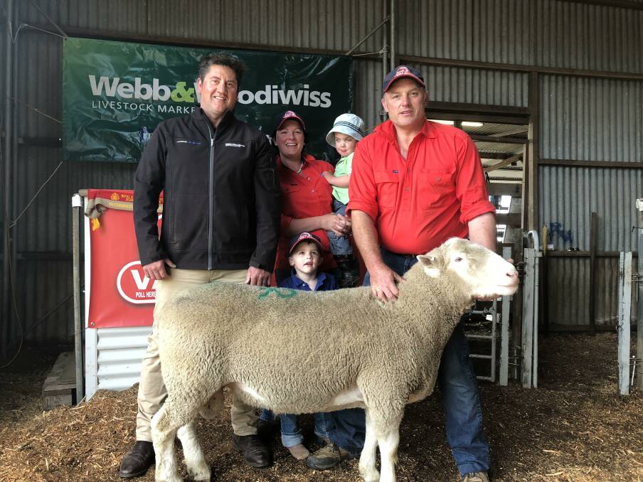 IN DEMAND: Mark Webb, Webb and Woodiwiss livestock marketing, Valma's Andrew McLauchlan, wife Caroline McLauchlan and boys Oscar and Beau with the top priced ram. 