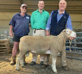 Don Brown, Nathalia, Nutrien stud stock agent Nick Farley, Bendigo, and Yentrac stud-co-principal Rob McCartney with one of the four top-priced rams. Picture supplied