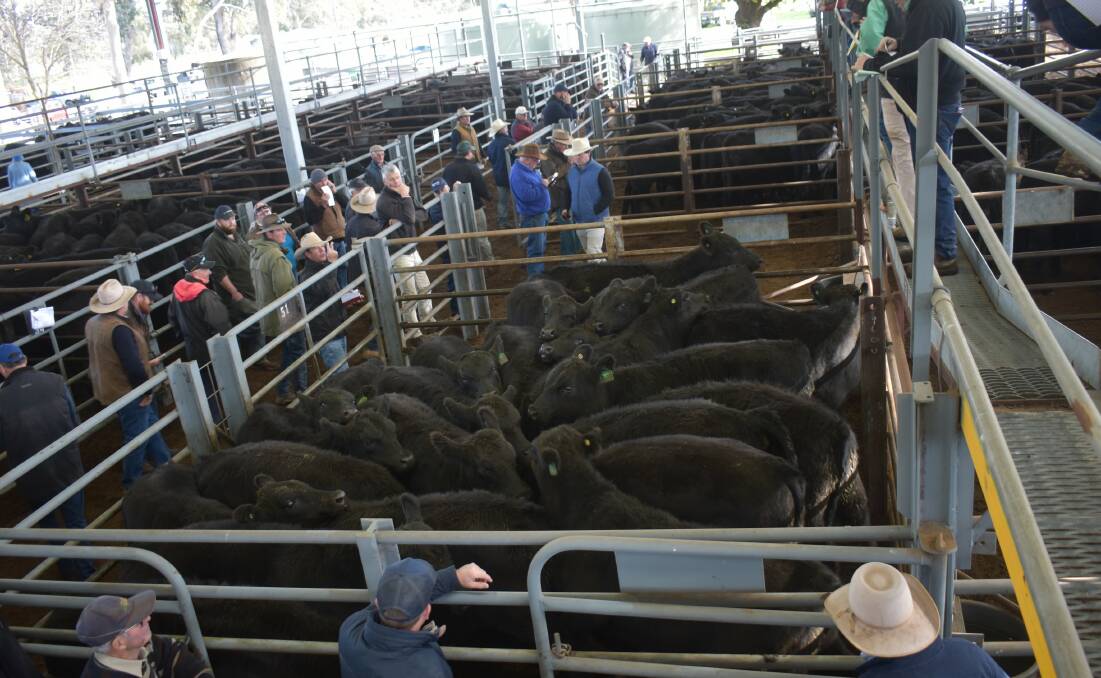 Restockers had a good day at the Euroa monthly store sale, the first after August was cancelled, Picture by Stock & Land.
