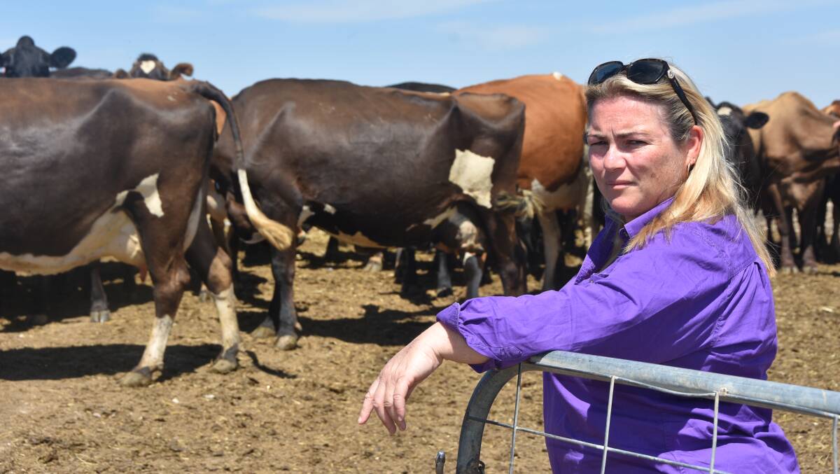 TEMPORARY RELIEF: Undera dairy farmer Gemma Monk said the rain saved pastures on her property, but more falls were needed to set up a decent irrigation season.