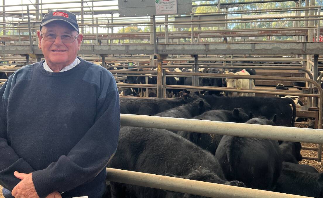 ANNUAL DRAFT: John Ross, Omeo Station, Benambra, turned off his annual draft of weaner steers and heifers.