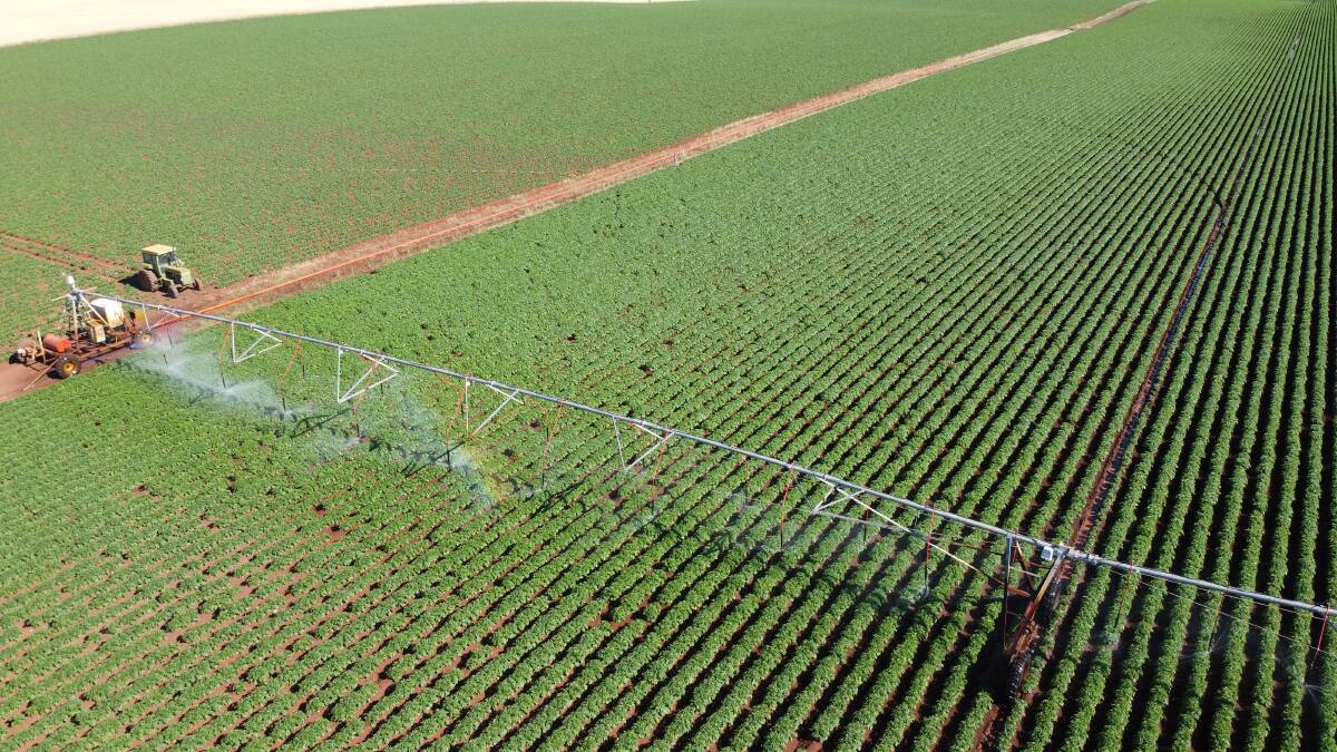 CHEAPER PRICE: Irrigators are among those who will benefit from a decision by Goulburn-Murray Water to increase prices by an average of 2pc.